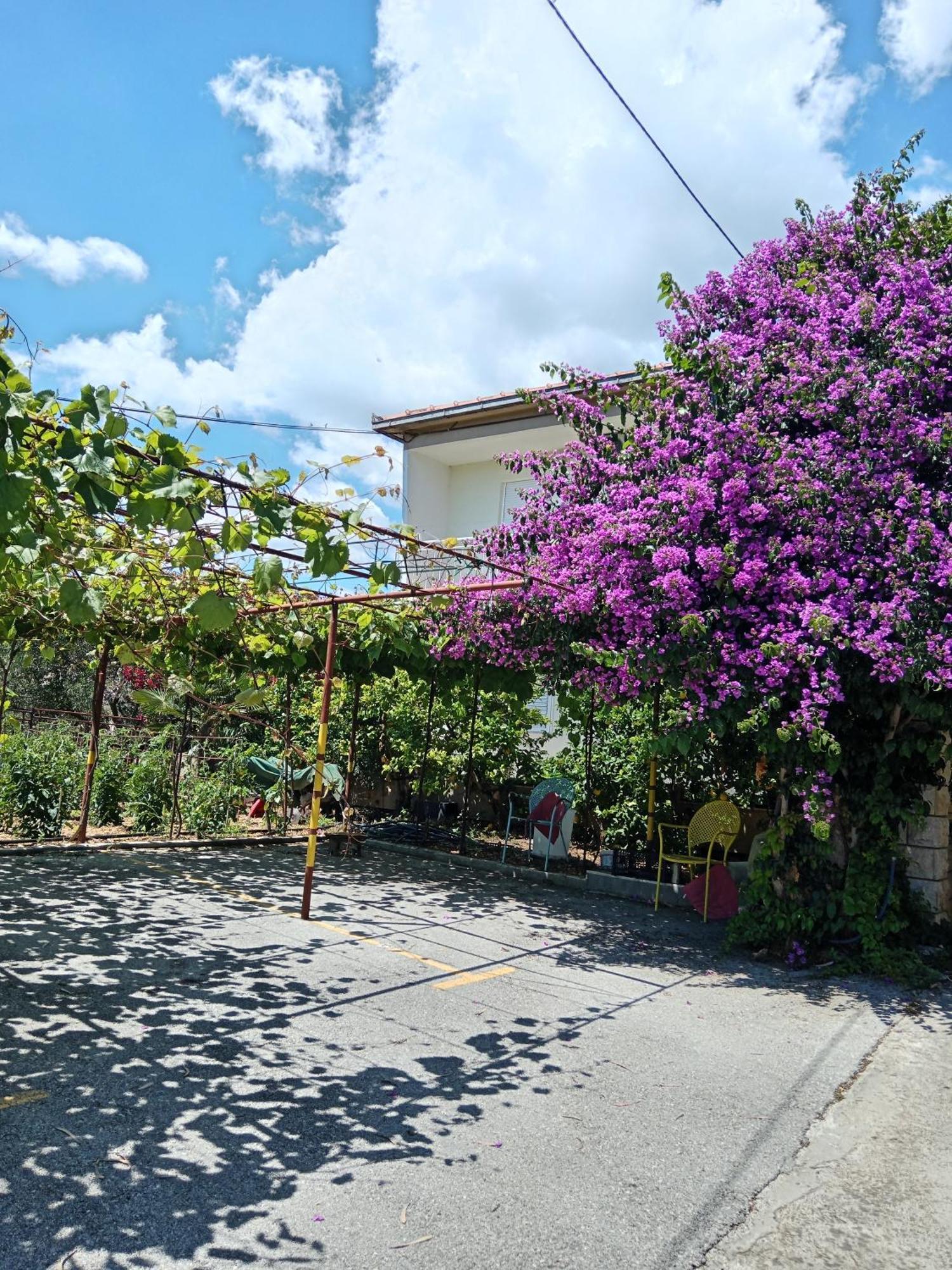 Apartments Silva Trogir Exterior photo